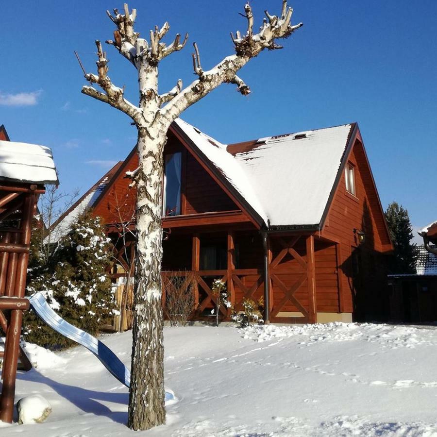 Domcek Pri Vode Villa Mlynceky Luaran gambar